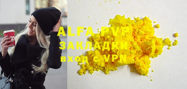 гашик Богданович