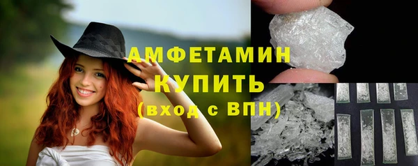 гашик Богданович
