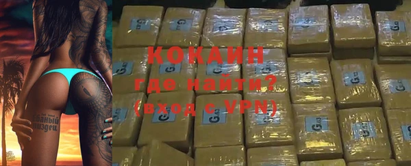 гашик Богданович